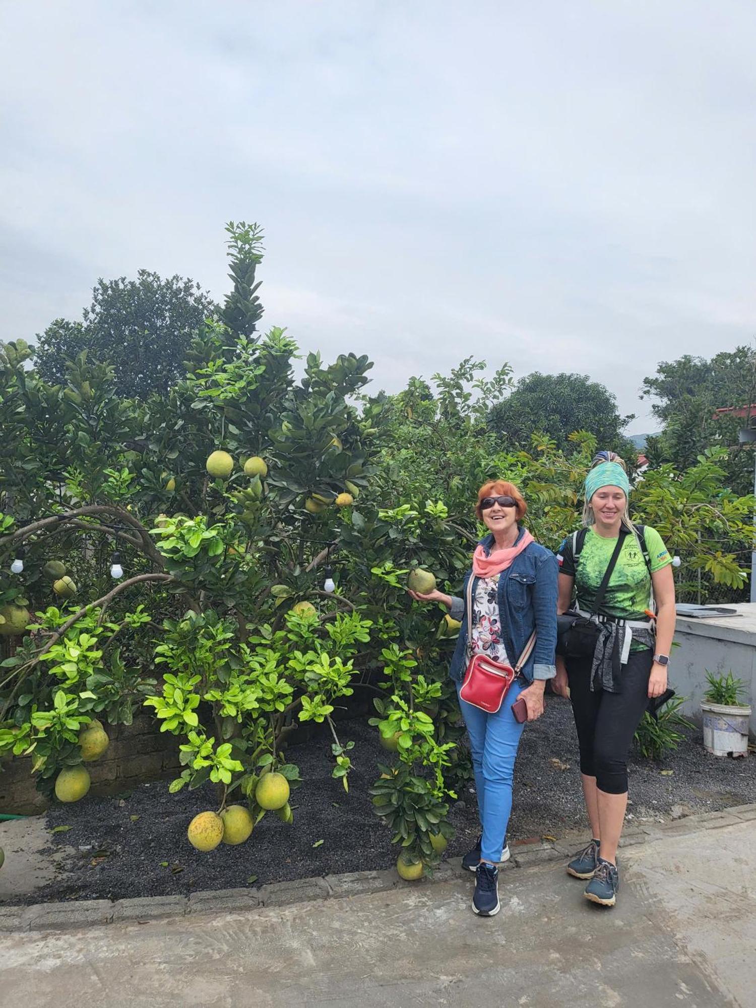 Tam Coc Pomelo Garden Appartement Ninh Binh Buitenkant foto