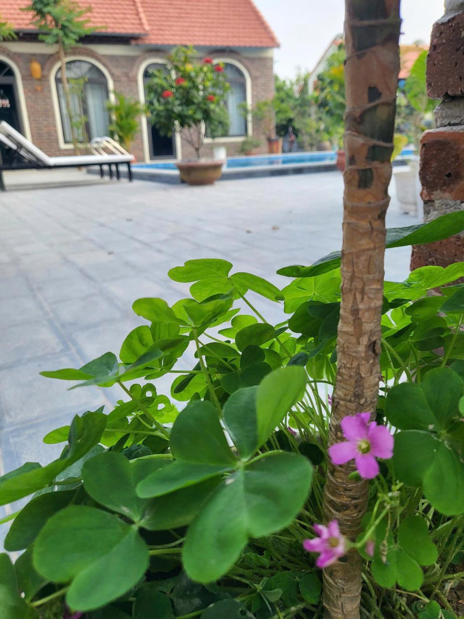 Tam Coc Pomelo Garden Appartement Ninh Binh Buitenkant foto