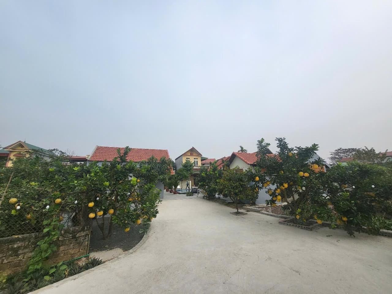 Tam Coc Pomelo Garden Appartement Ninh Binh Buitenkant foto